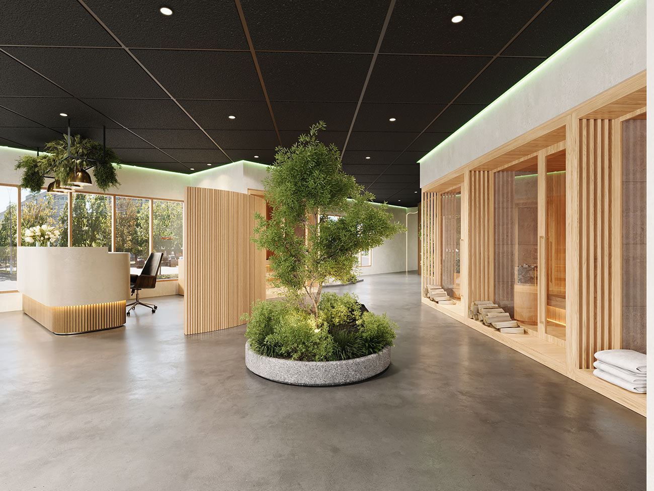 Wellness spa interior with natural materials, indoor greenery and tranquil circulation spaces
